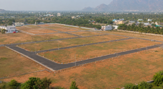 Premium Investment Plots