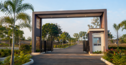 DTCP & RERA Approved Plot