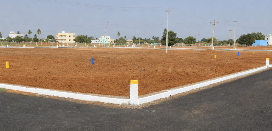 Premium Investment Plots