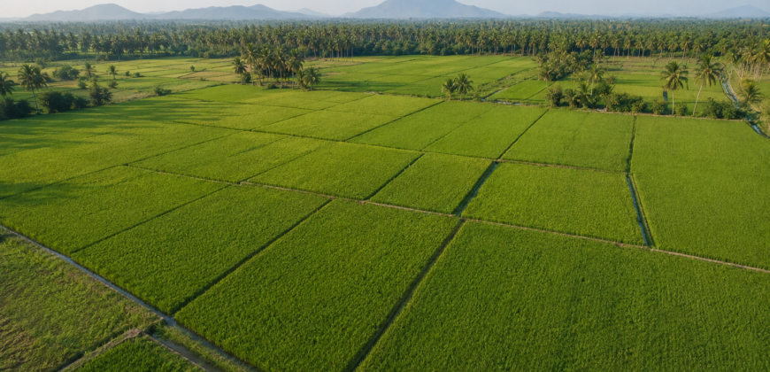 Fertile Agricultural Land