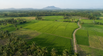 Fertile Agricultural Land