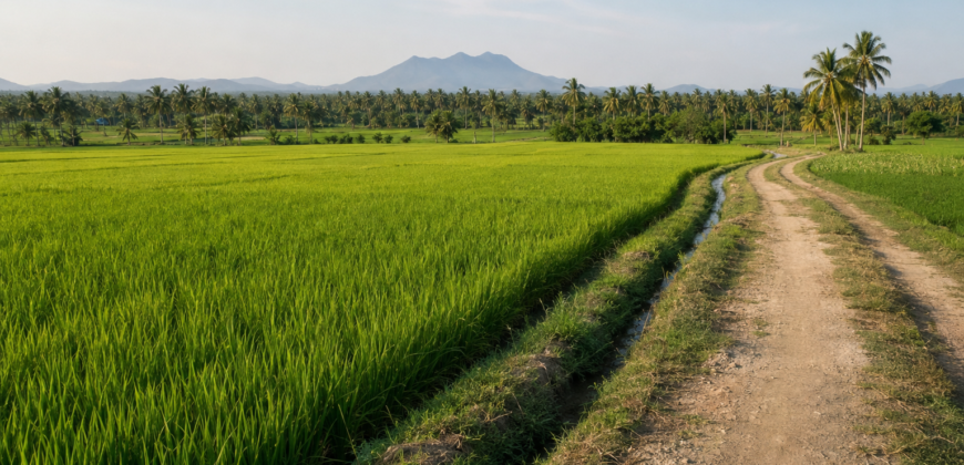 Fertile Agricultural Land
